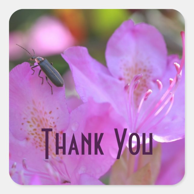 Sticker en Merci d'insectes à fleurs d'azalée rose (Devant)