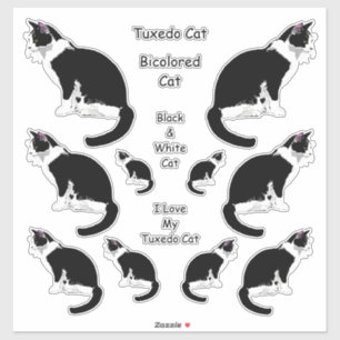 Sticker Ensemble d'autocollant d'atterrisseur de chats de