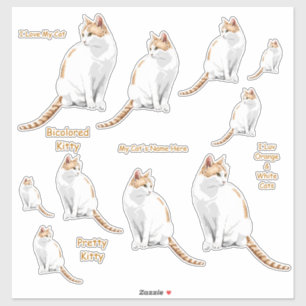 Sticker Ensemble orange et blanc d'autocollant