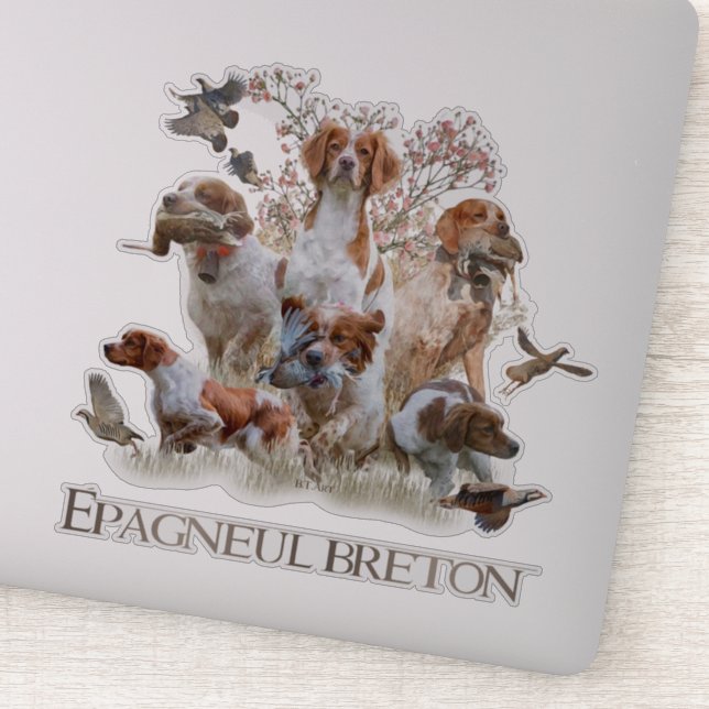 Sticker Epagneul Breton, Bretagne Espagne (Détail)