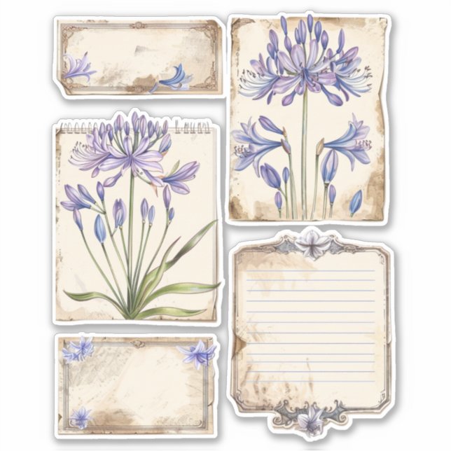 Sticker Ephémère Coupe Fussy de fleurs d'Agapanthus (Devant)
