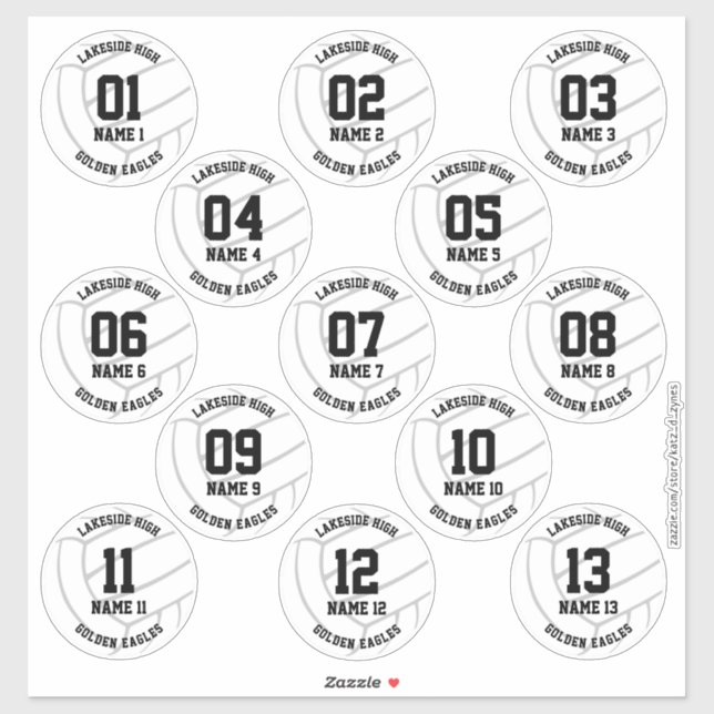 Sticker équipe de volley-ball 13 joueurs (Feuille)