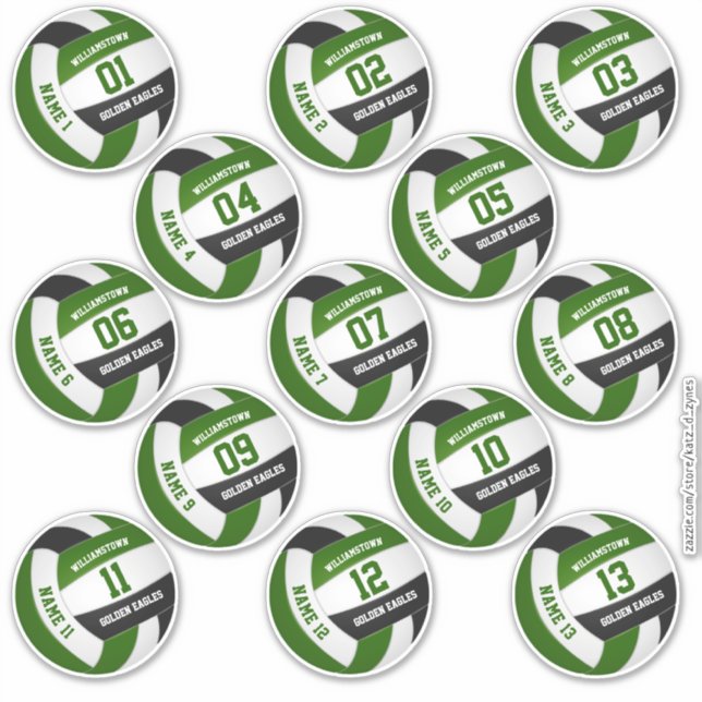 Sticker équipe de volley-ball noir vert couleurs joueurs n (Devant)