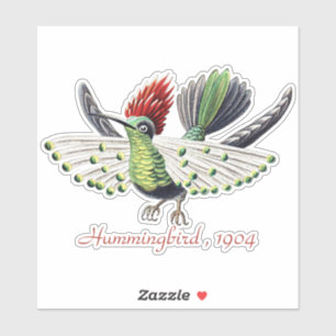 Sticker Ernst Haeckel Colibri Coloré Art de la Nature