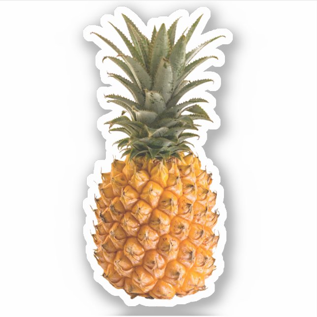 Sticker Été moderne joli girly tropicale ananas (Devant)