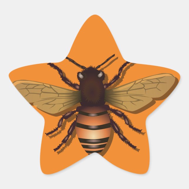 Sticker Étoile abeille-miel-insecte-mouche-miel (Devant)