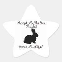 "Adoptez Un Rabbit D'Abri, Sauvez Une Vie !" Autoc