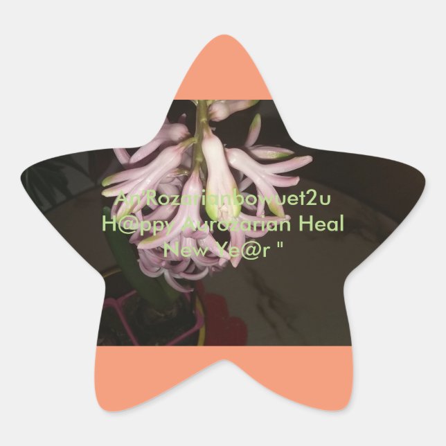 Sticker Étoile An'Rozarianbowuet2u Aurozarian Heal H@ppy Nouveau  (Devant)