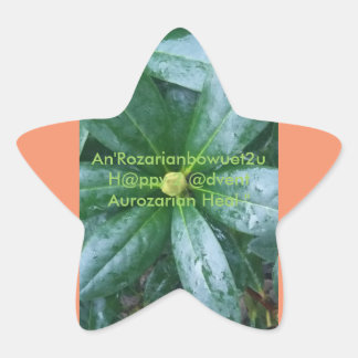 Sticker Étoile An'Rozarianbowuet2u H@ppy 2 @dvent Aurozarian Heal