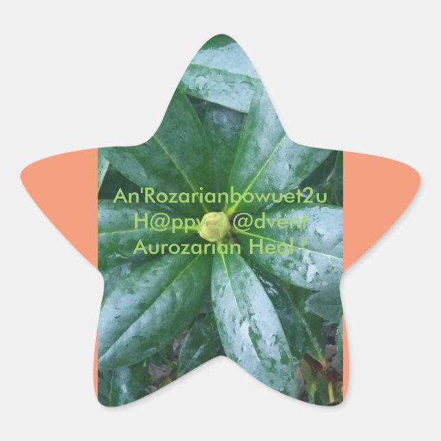 Sticker Étoile An'Rozarianbowuet2u H@ppy 2 @dvent Aurozarian Heal (Devant)