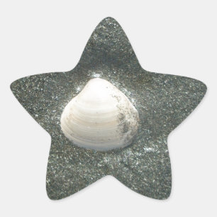 Sticker Étoile Beau coquillage dans le sable : Un souvenir salé