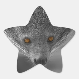 Sticker Étoile Binturong Vous Regardant