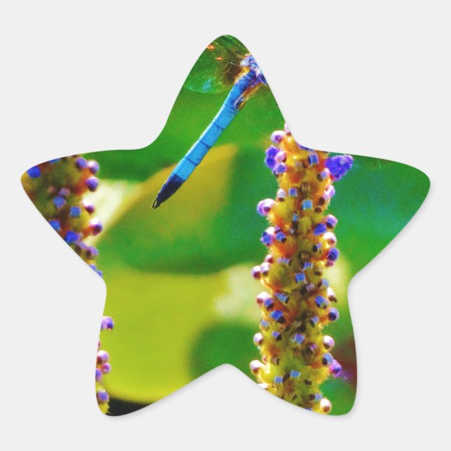 Sticker Étoile Bleu libellule et fleurs (Devant)