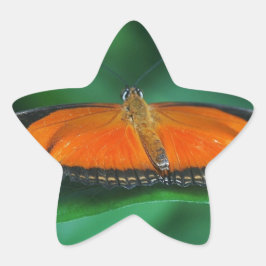 Sticker Étoile Bright Orange and Black Butterfly on Leaf