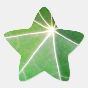 Sticker Étoile Cadeau sain frais de FEUILLE VERTE VERTE