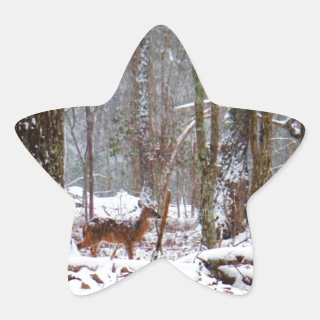 Sticker Étoile Cerf dans la chute de neige (Devant)