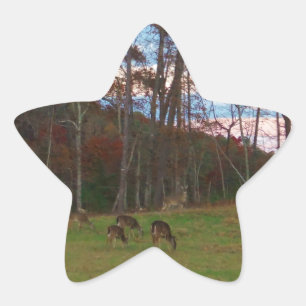 Sticker Étoile Champ de cerf et un SunSet rose