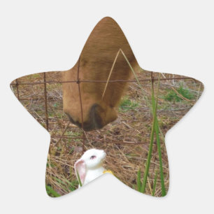 Sticker Étoile cheval et fleur de printemps Bunny
