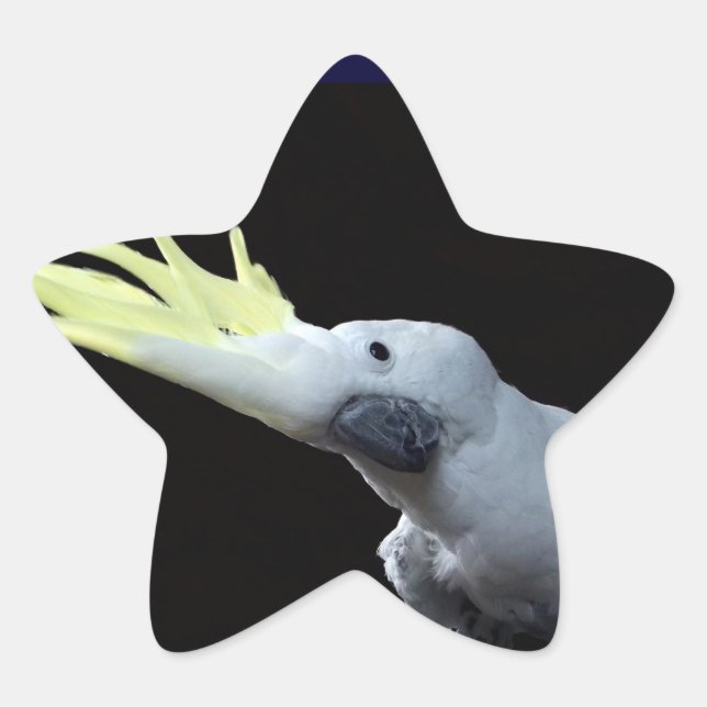 Sticker Étoile Cockatoo (Devant)