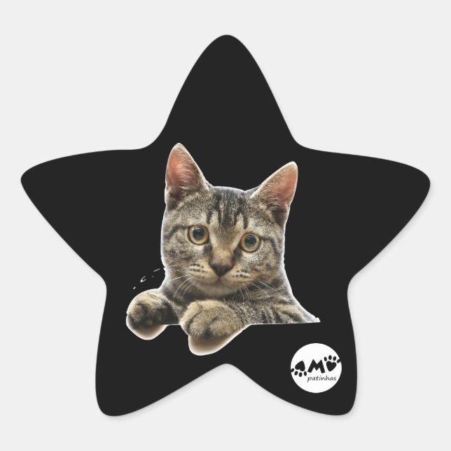 Sticker Étoile Colle (Devant)