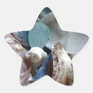 Sticker Étoile Coquille de verre de mer collectée