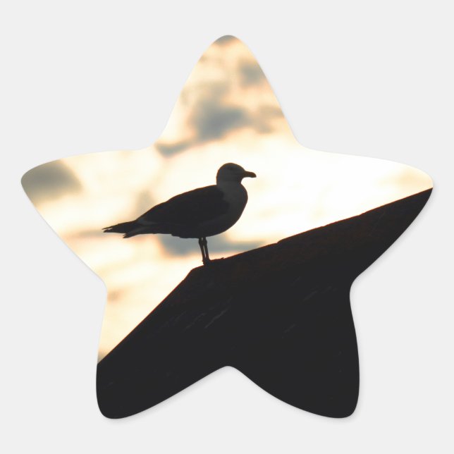 Sticker Étoile Coucher de soleil de Sea Gull (Devant)