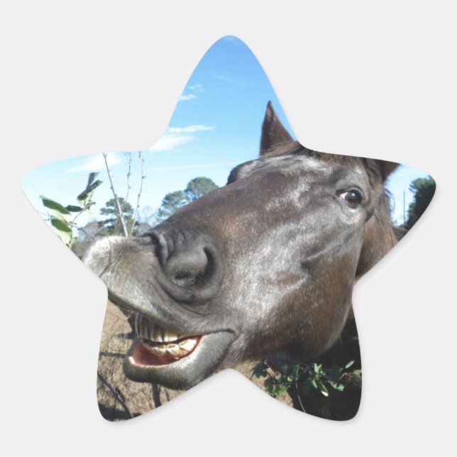 Sticker Étoile Drôle Cheval brun visage (Devant)