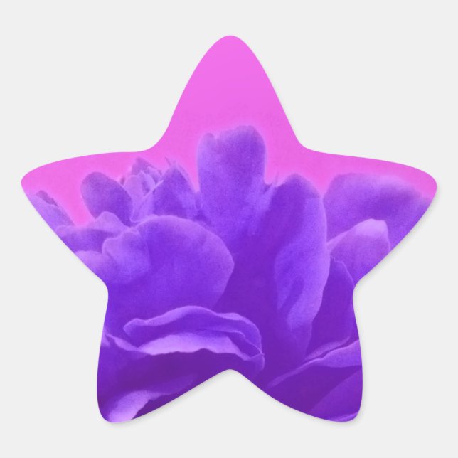 Sticker Étoile Elegant Purple Raspberry Floral (Devant)