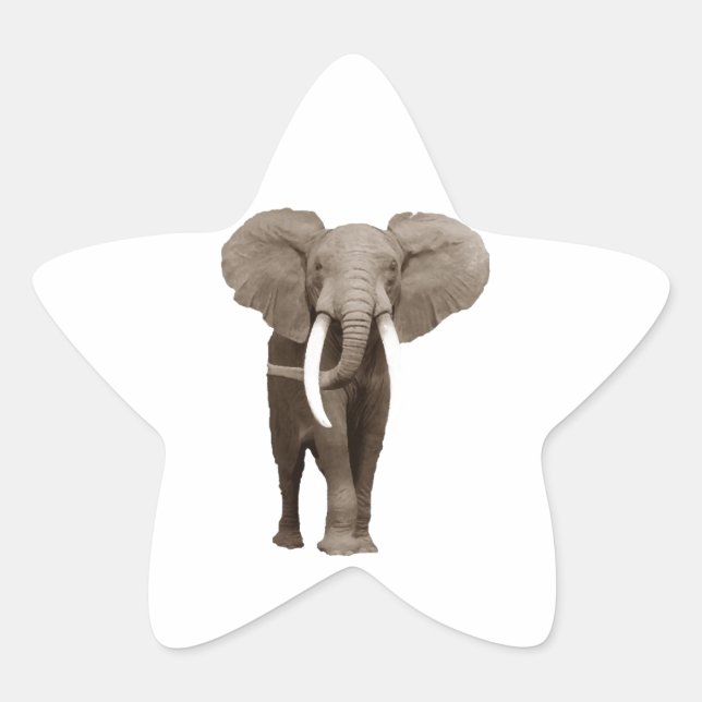 Sticker Étoile Eléphant (Devant)