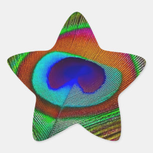 Sticker Étoile Feather Vibrant Copper