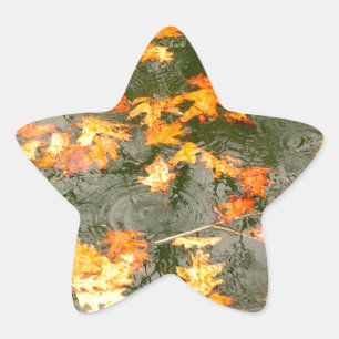 Sticker Étoile feuilles tombés sous la pluie
