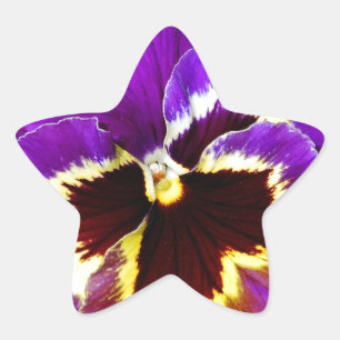 Sticker Étoile Fleur de pansement jaune et violet