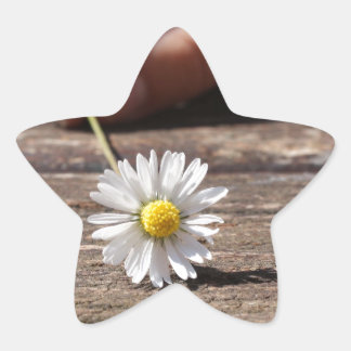Sticker Étoile Fleur marguerite