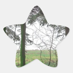 Sticker Étoile Forest overlooking clearing in the fog