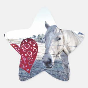 Sticker Étoile HORSE coeur Valentine