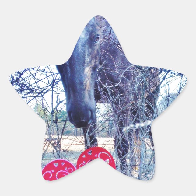 Sticker Étoile Horse et heart (Devant)