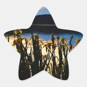 Sticker Étoile Iris jaunes sur la rive du lac Arrowhead
