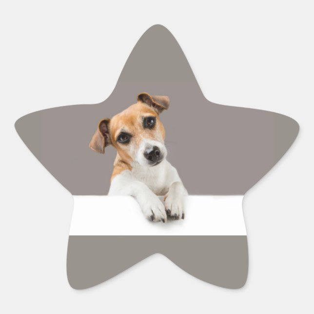 Sticker Étoile Jack Russell chiot sucré adorable bébé (Devant)