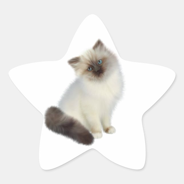 Sticker Étoile Kitten perse (Devant)