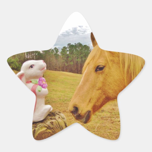 Sticker Étoile Lapin blanc et Cheval jaune (Devant)