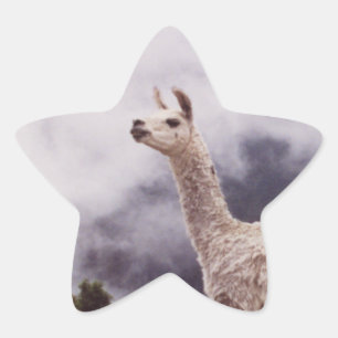 Sticker Étoile Llama Machu Picchu, Pérou