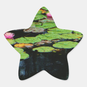 Sticker Étoile lotus rose noir