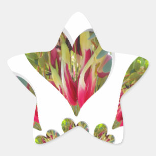 Sticker Étoile Lovely Hearts Humanitarian Day Le monde a besoin d