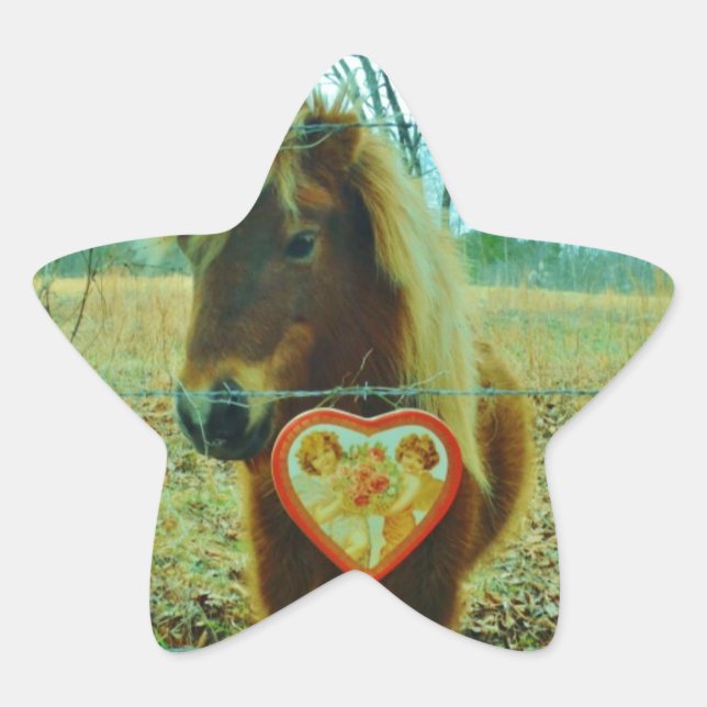 Sticker Étoile Miniature cheval Brown Valentine Heart (Devant)