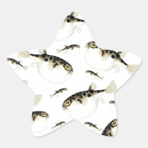Sticker Étoile Motif blanc Puffer Fish