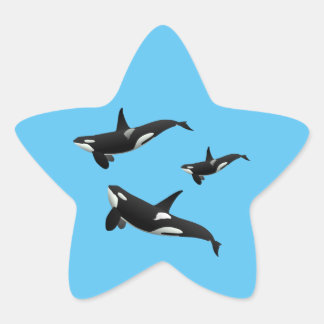 Sticker Étoile Orca