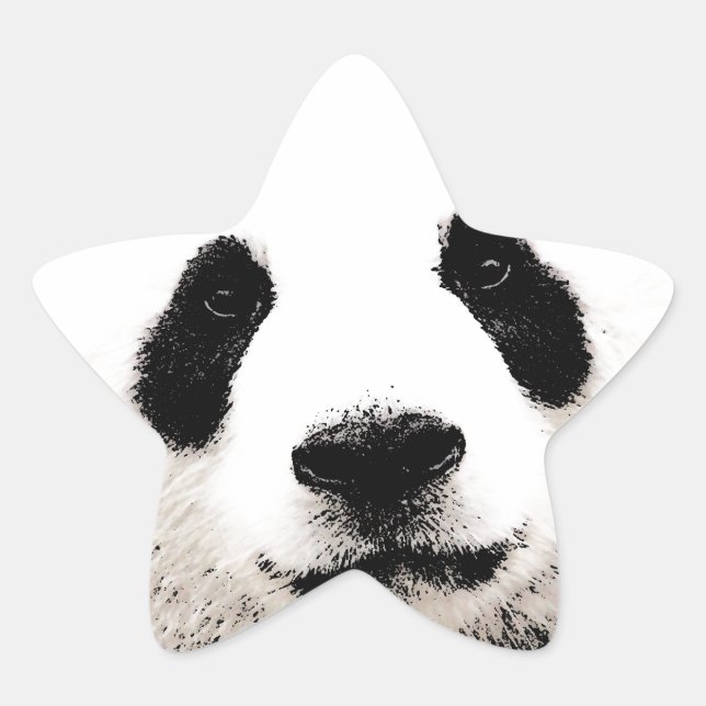 Sticker Étoile Panda (Devant)