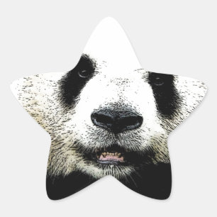 Sticker Étoile Panda