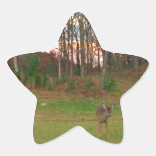 Sticker Étoile Petit cerf et coucher de soleil rose