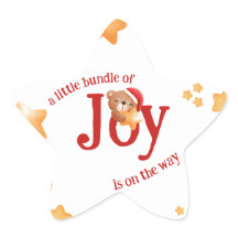 Petit paquet de Joy Bear